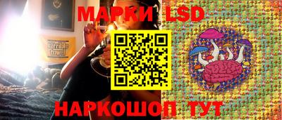 прущие грибы Тверь
