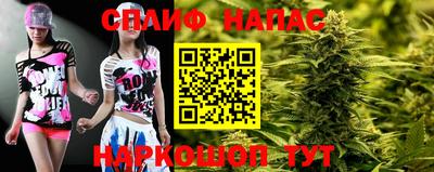прущие грибы Тверь